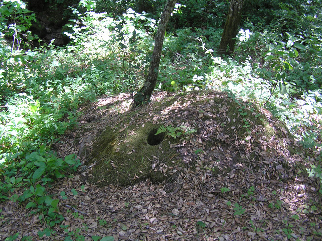 At-the-end-of-Devils-Slide-trail