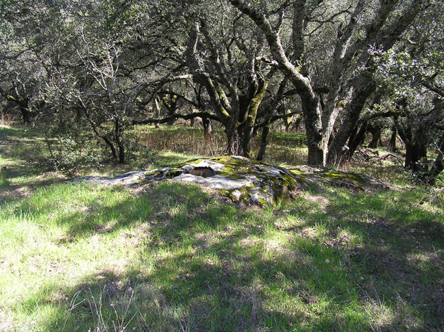 Below-Knobcone-Point