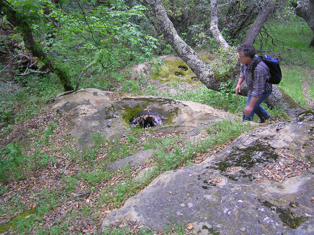 Curry-Creek-milling-station