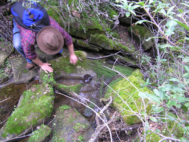 Downstream-from-Whelk-Pond