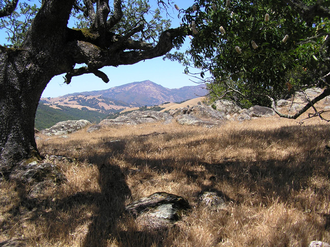 LowerVillageOverlook2