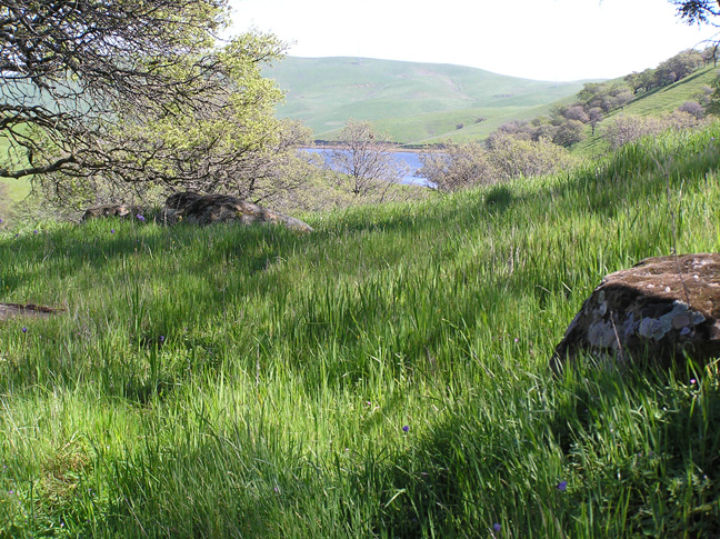 Mallory-Creek-3rd-confluence-P1010018