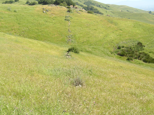 MissionPeakTrailSpring