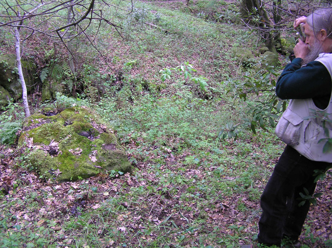 Molluck-Coyote-Trails