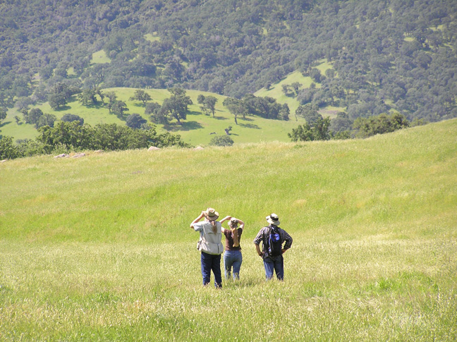 Murphy-Meadow-P1010002