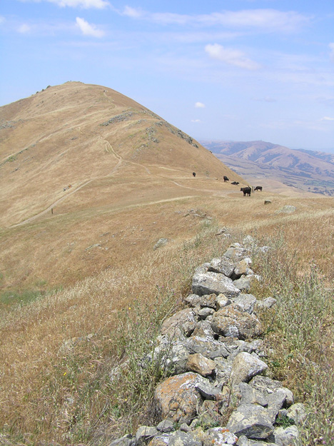 S-Mission-Peak-Rock-Wall1