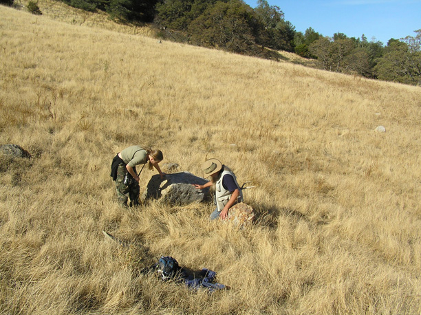 Top-of-Manhattan-Trail