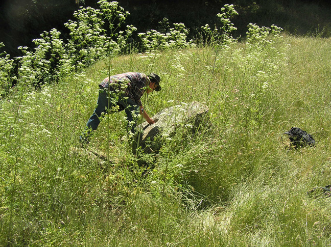 UpperPalomaresCanyon