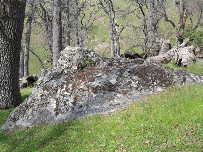 UpperSanAntonioCreek